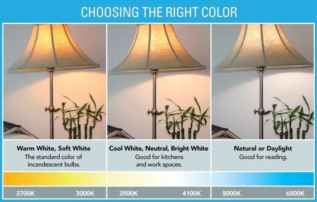 Natural White LED RV Ceiling Double Dome Light Fixture - 12V Double 921 Wedge Bulb (F3528002) for Camper, Motorhome & Travel Trailer Interior Lighting