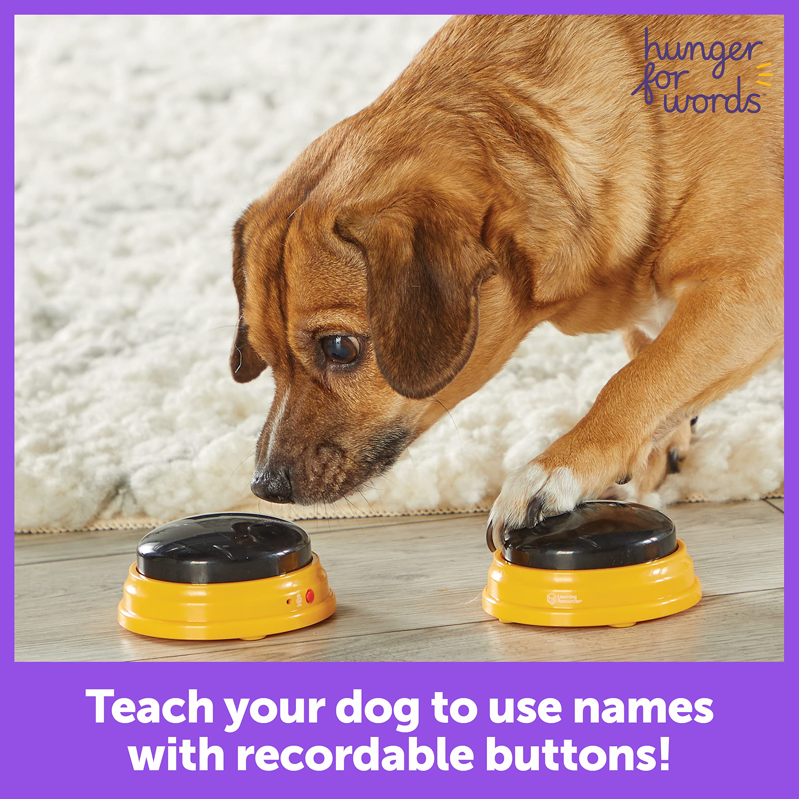Hunger For Words Talking Pet Buttons - 3 Piece Set of Recordable Speech Buttons for Dog Training & Communication | Teach Your Dog to Talk | Perfect for Interactive Play, Obedience Training & Bonding Activities