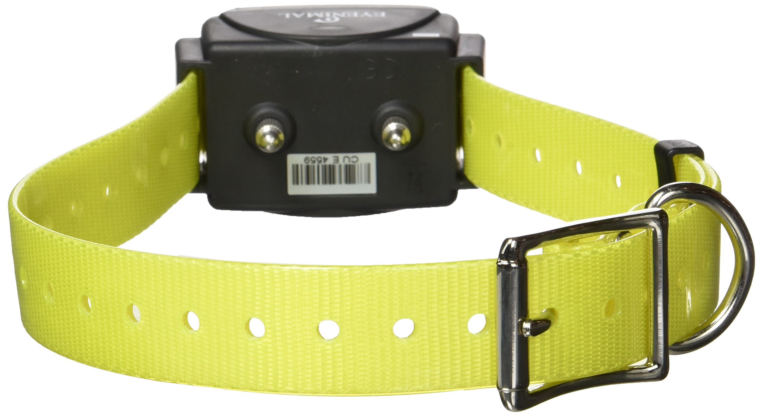 Extra Collar Remote Trainer for Dogs - Waterproof & Rechargeable E-Collar with 1000ft Range - Perfect for Training, Hunting & Outdoor Adventures