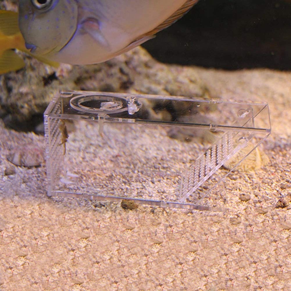 **Transparent Acrylic Crab & Fish Trap - Mini Freshwater Aquarium Catcher Box for Lobster, Shrimp, Minnows, Crawfish - Perfect for Home Aquariums, Fishing Bait & Snail Control**