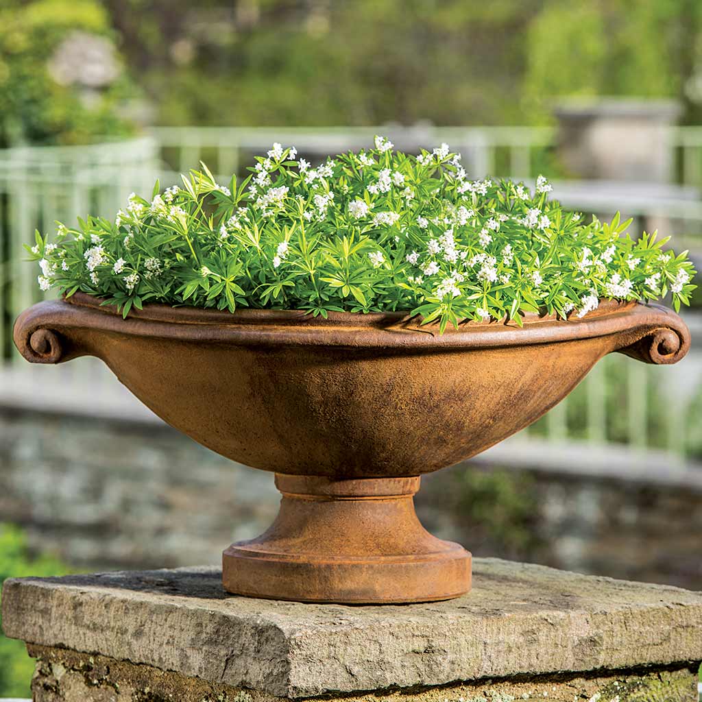 Campania International Medici Small Planter - Decorative Ceramic Flower Pot for Indoor Plants, Succulents & Herbs - Perfect for Home Decor, Office Desk & Garden Accents