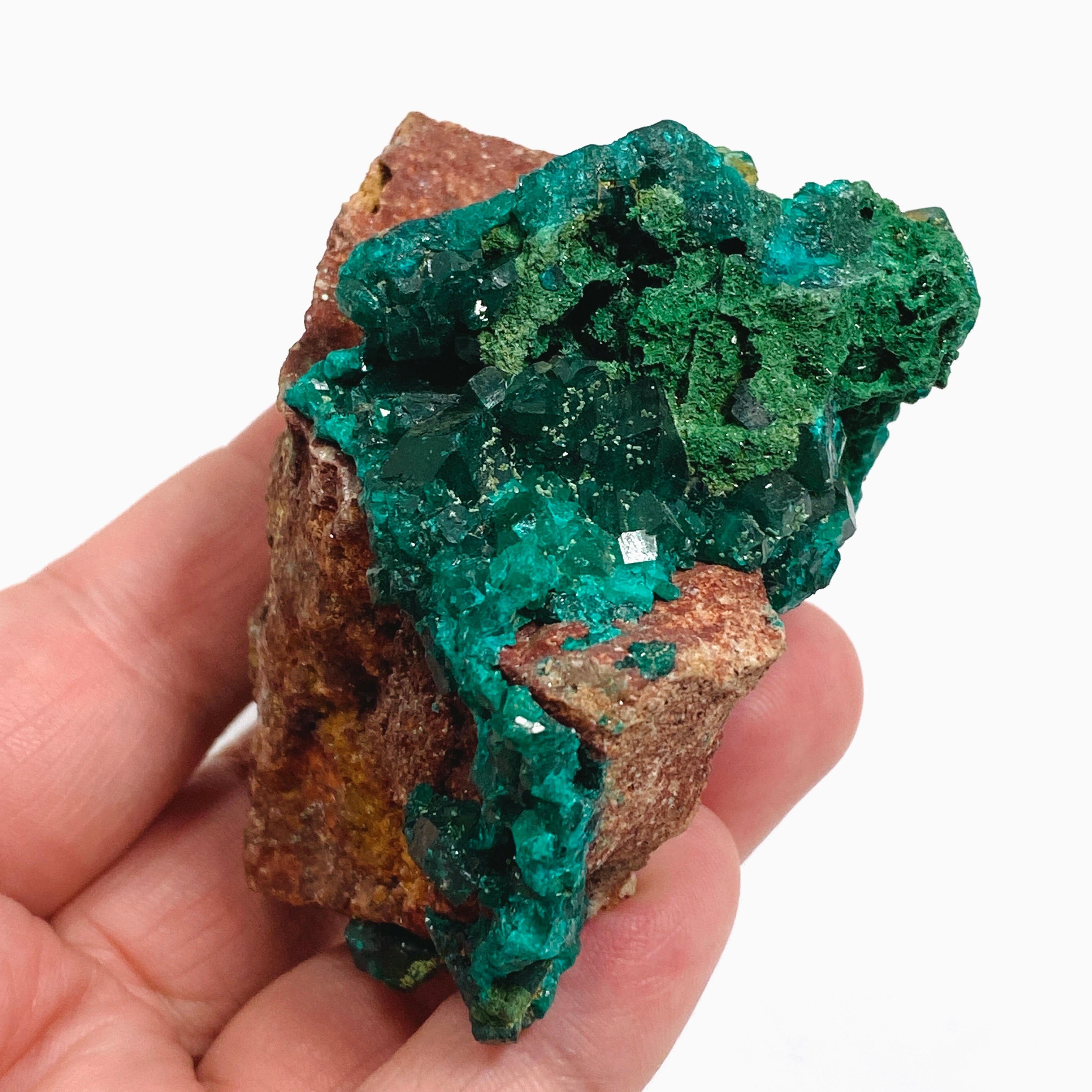 Natural Dioptase with Malachite Crystal Specimen from Congo CR3746 - Perfect for Mineral Collectors & Home Decor