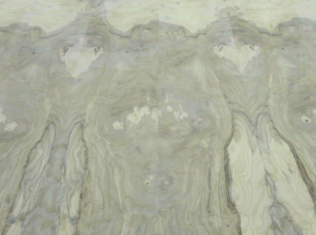 Premium AA Grade Olive Ash Burl Real Wood Veneer - 24