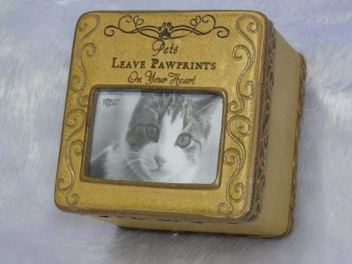 Personalized Pet Memorial Cat Photo Box - Engraved Keepsake Gift for Cat Lovers | Perfect for Remembrance, Pet Loss Sympathy & Home Decor