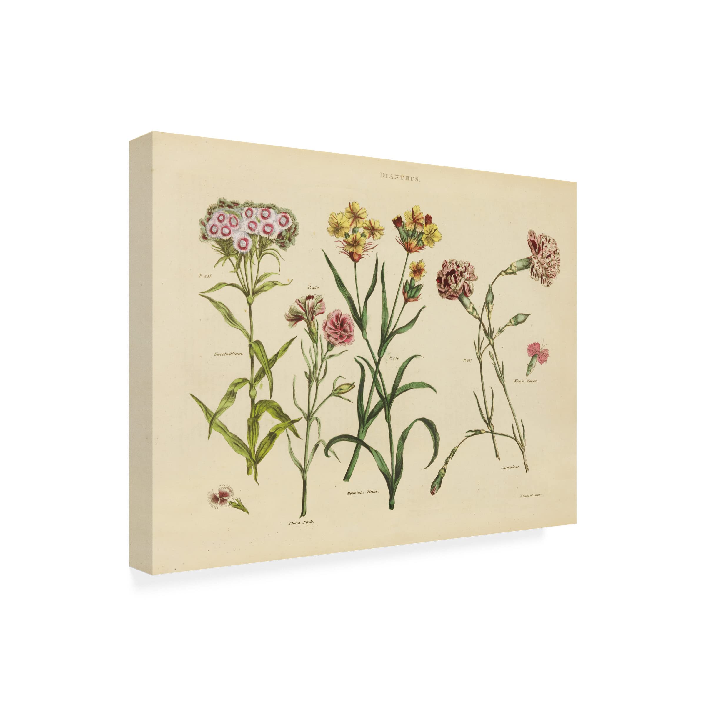 Trademark Fine Art 'Blue Bouquet' Canvas Wall Art by Farida Zaman - Floral Home Decor for Living Room, Bedroom & Office