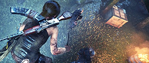 Rise of the Tomb Raider: 20 Year Celebration - PS4 Game | Action-Adventure Video Game for PlayStation 4 | Perfect for Fans of Lara Croft & Exploration Games | Great for Solo Gaming & Collector's Editions