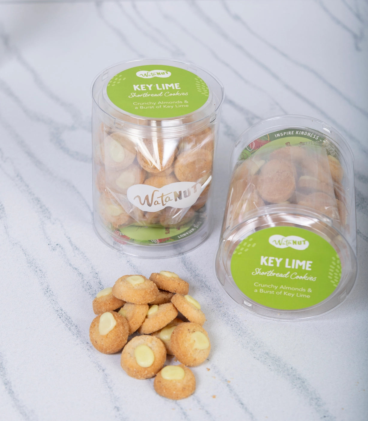 Watanut Key Lime Cookie Tube - Delicious Crunchy Cookies for Snacking, Gifts & Parties | Perfect for Office Treats, Holiday Gifts & Dessert Tables