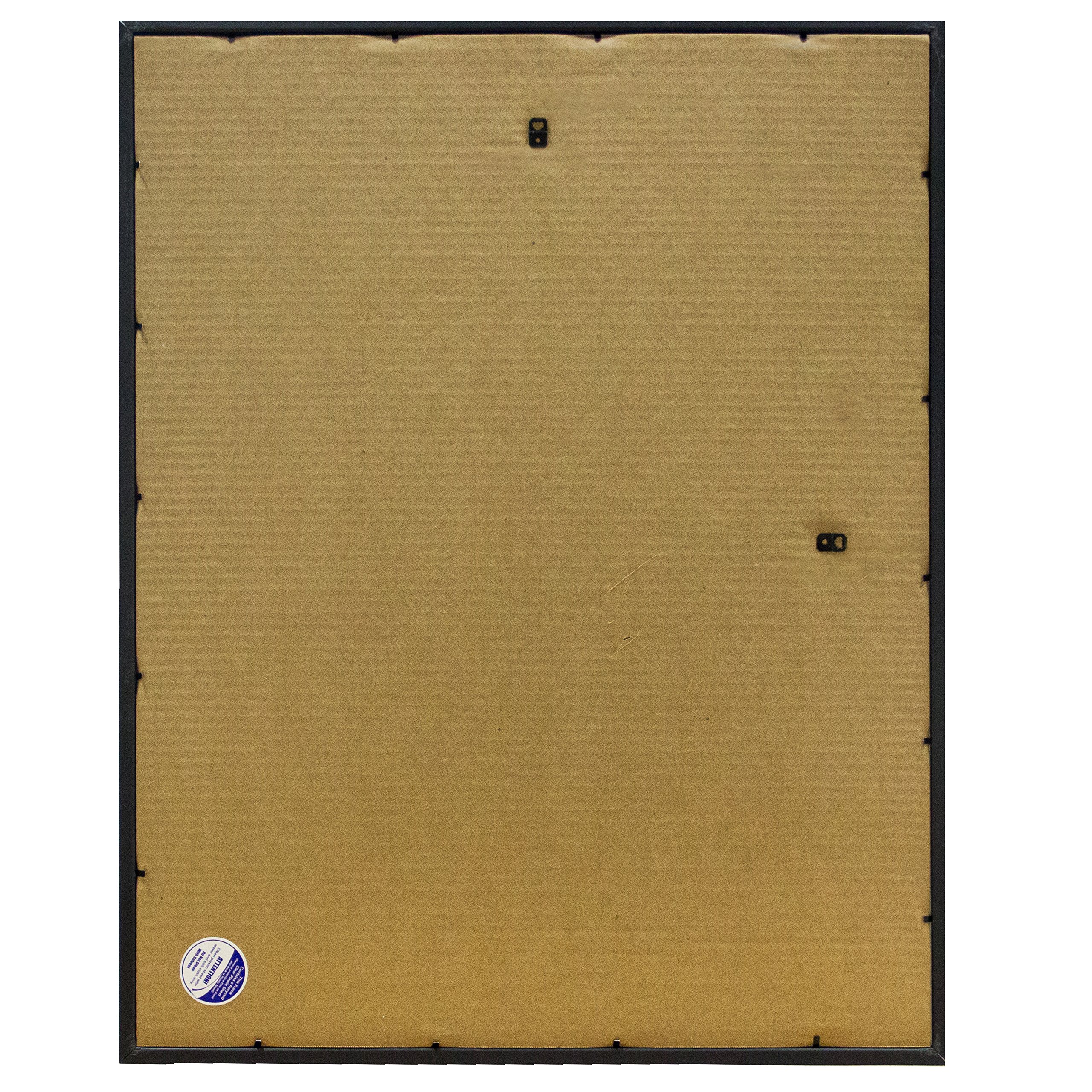 Frame USA 22x28 Deluxe Polystyrene Plastic Poster Frame (Black) - American Made - Perfect for Home Decor, Office Displays & Artwork Protection