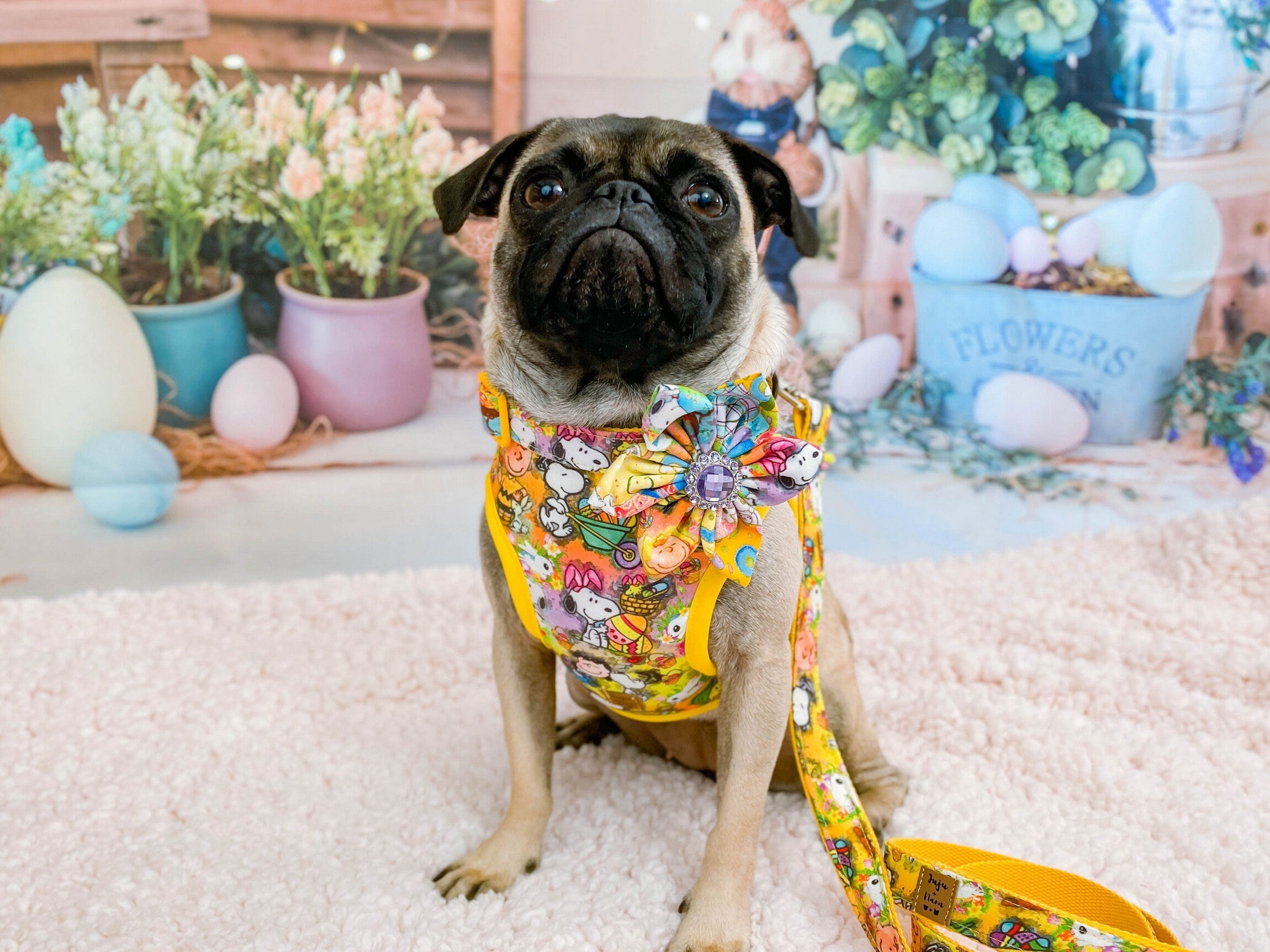 Colorful Easter Egg Dog Harness - Adjustable Pet Vest for Small Medium Large Dogs - Perfect for Easter Parades, Pet Costume Parties & Spring Photo Shoots