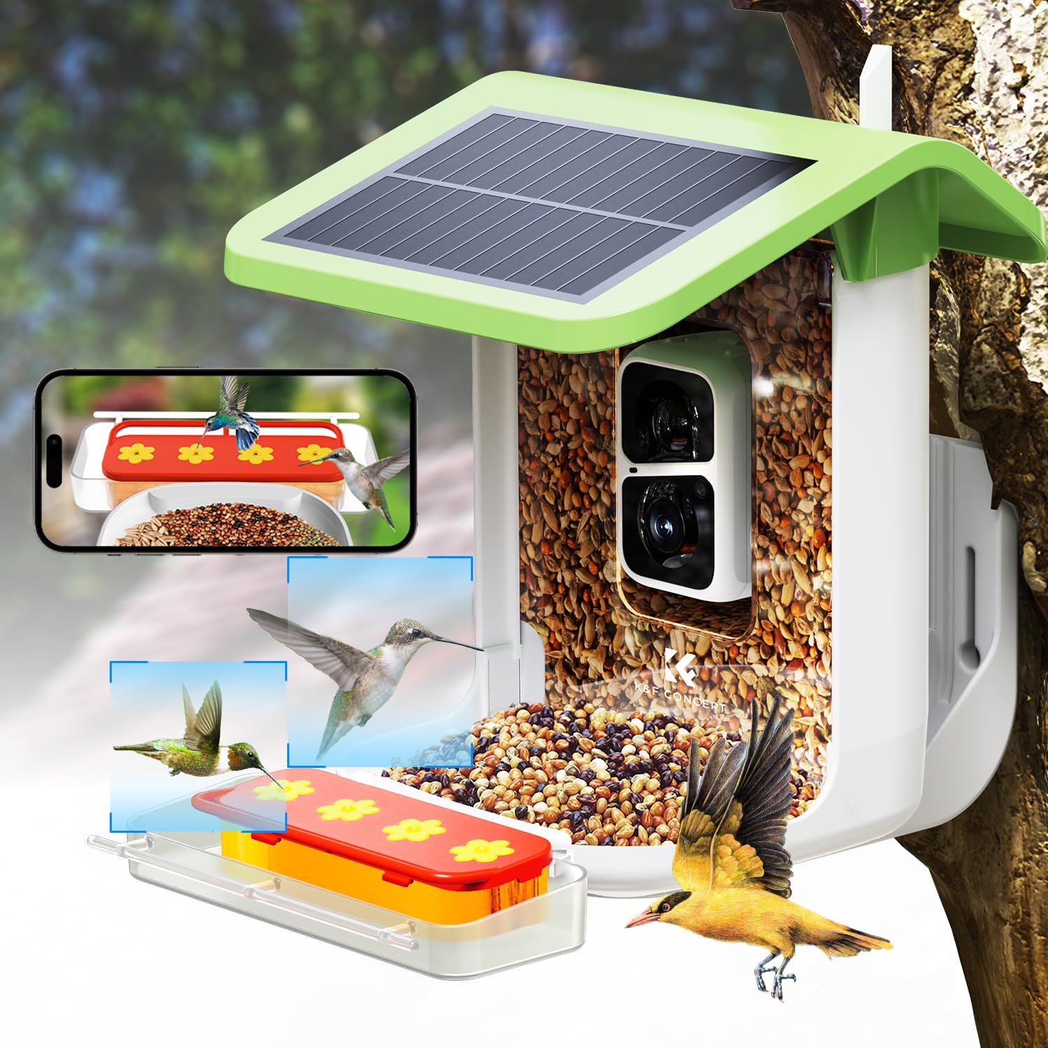 Smart Bird Feeder with Camera - 1080P HD AI Hummingbird Identification & Auto Video Capture, 2-in-1 Feeder Perch | Perfect for Backyard Bird Watching & Nature Photography