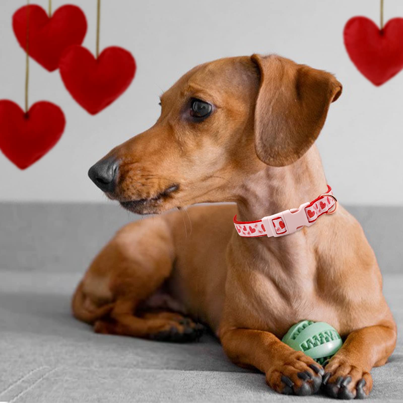 Valentine's Day Dog Collar & Leash Set - Adjustable Pink Glitter Collar with Red Heart Pattern, Matching Leash for Small Dogs | Perfect Valentine's Gift for Puppies, Dog Walking & Special Occasions