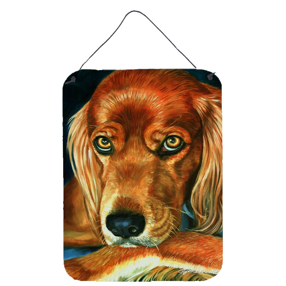 Irish Setter Serious Wall Decor - 12x16 Aluminum Metal Sign for Kitchen, Bar, Bathroom & Front Door | Caroline's Treasures Multicolor Hanging Plaque | Perfect for Home, Pub & Pet Lover Gifts