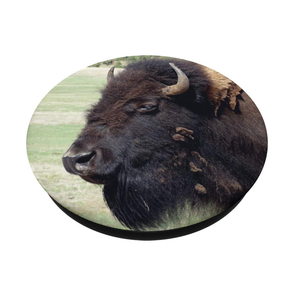 Buffalo Design PopSockets PopGrip - Interchangeable Phone Grip & Stand for iPhone, Samsung Galaxy - Perfect for Selfies, Video Calls, and Secure Phone Handling