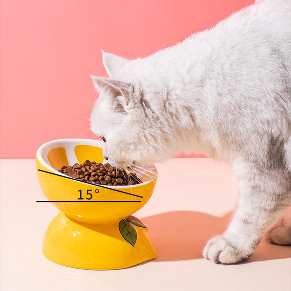 Elevated Ceramic Cat Bowls Set - 5 Inch Wide Raised Cat Food and Water Dishes for Flat-Faced Cats & Kittens, Tilted Design for Easy Eating, Dishwasher Safe (Lemon Yellow) - Perfect for Persian, Himalayan & Senior Cats with Comfort Feeding Needs