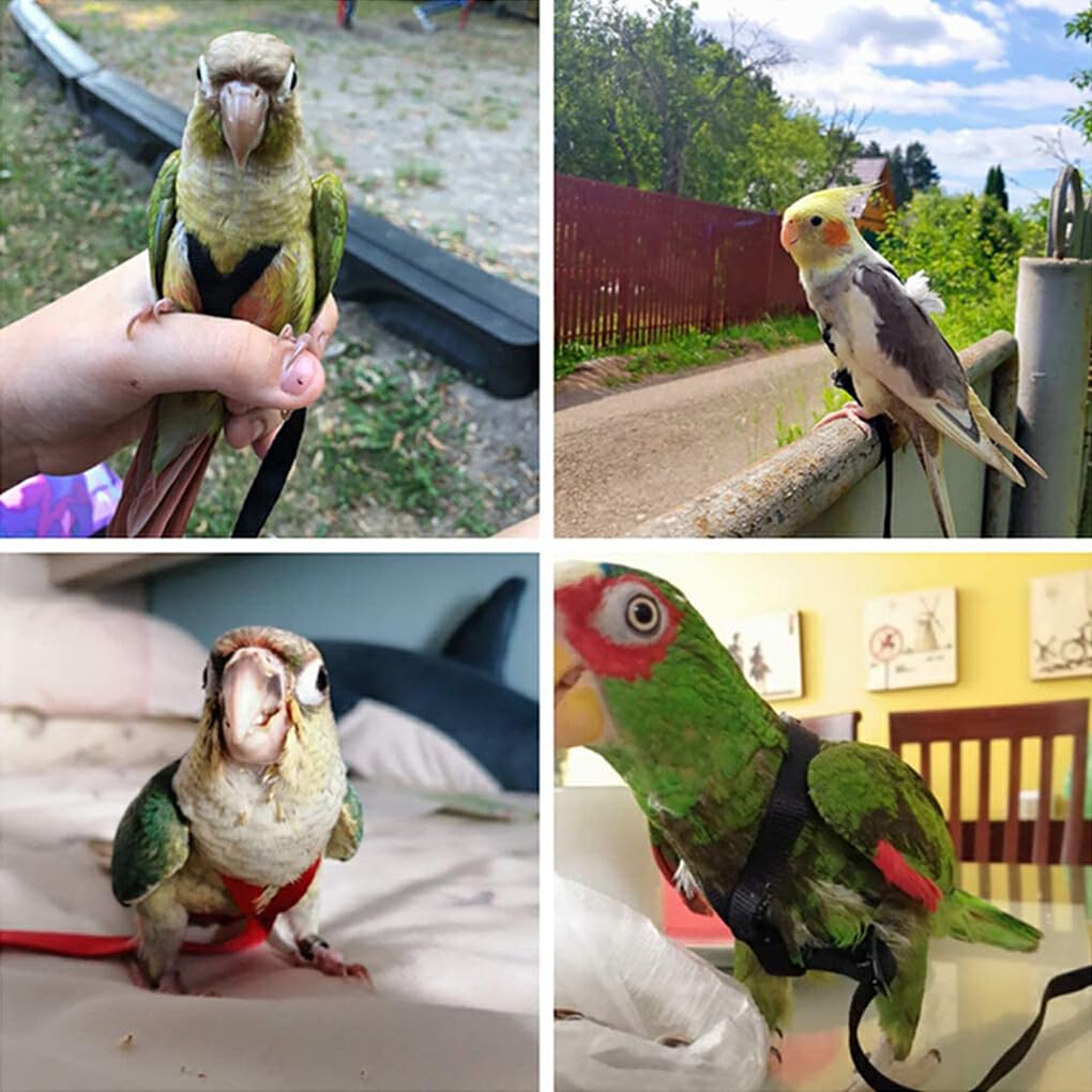 Adjustable Parrot Harness and Leash - Easy-to-Wear Nylon Bird Flying Harness for Small to Medium Parrots - Perfect for Outdoor Training, Walks, and Safe Flight Exercises