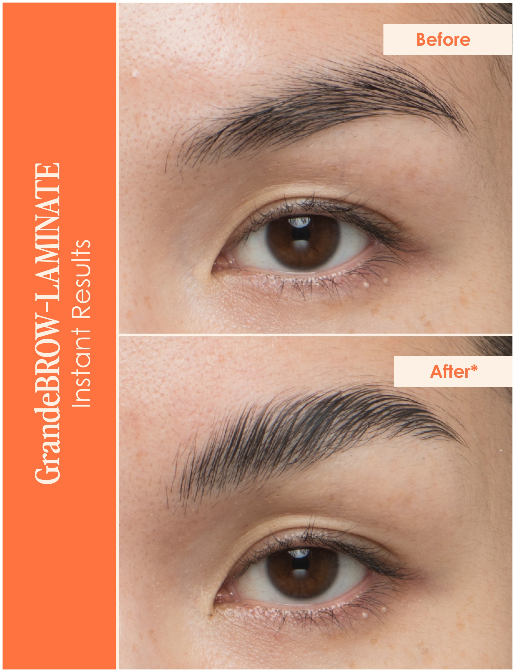 Lash & Brow Legends - Professional Eyelash & Eyebrow Growth Serum for Longer, Thicker Lashes & Brows | Perfect for Daily Use & Special Occasions