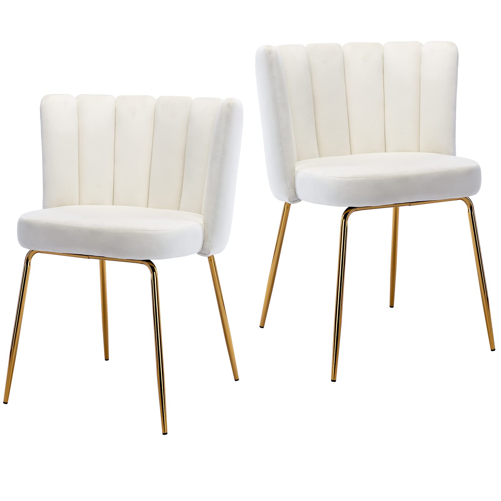 ZhengHao Velvet Dining Chairs Set of 2 - Modern Upholstered Accent Chairs with Gold Metal Legs, Mid Century Style Kitchen & Side Chairs for Living Room, Bedroom, Dining Room - Soft Cream Fabric - Perfect for Home Decor, Dinner Parties & Cozy Seating