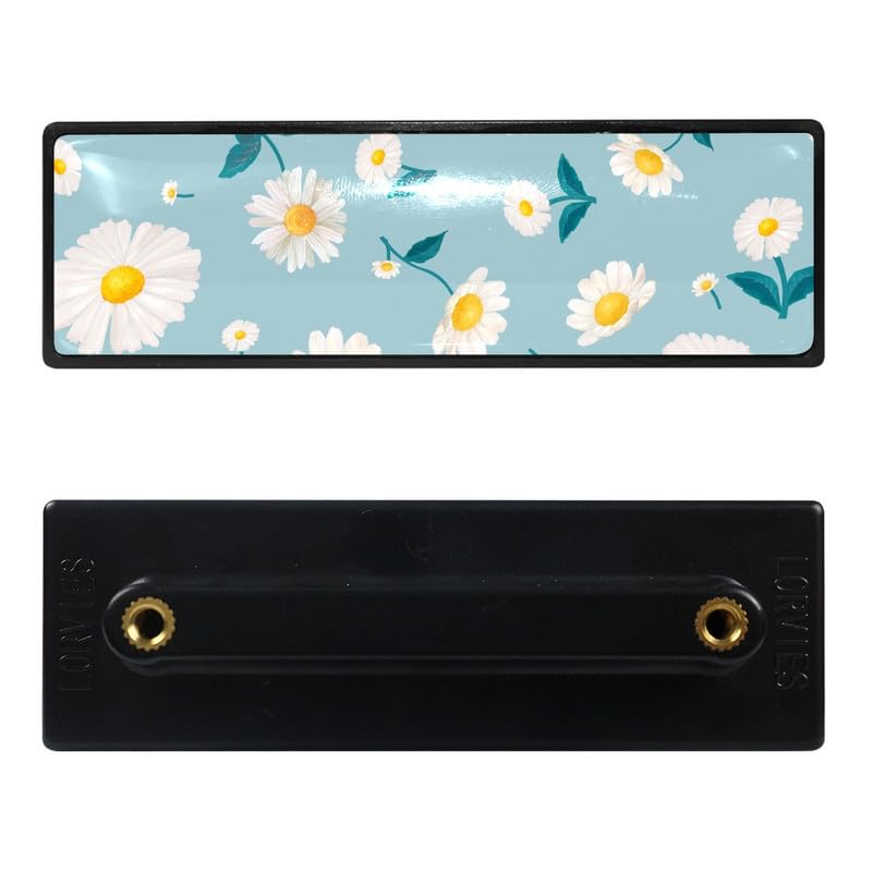 Little Daisy Flower