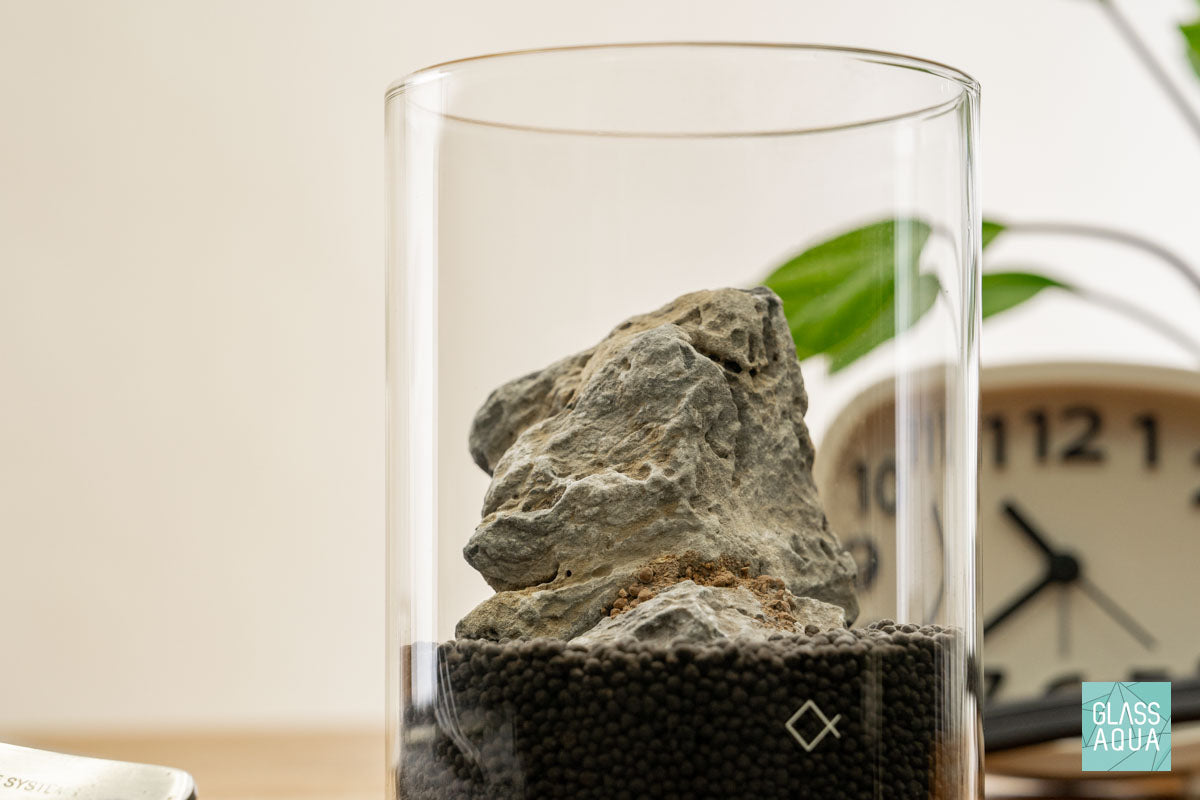 Miniature Terrarium Kit - DIY Glass Garden with Succulents & Moss for Home Decor, Office Desk, or Gift Idea | Creative Indoor Gardening Project for Beginners