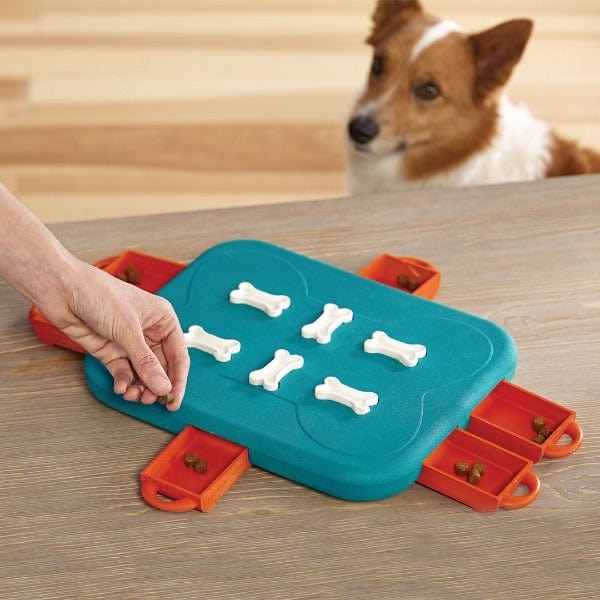 Outward Hound Fun Feeder Dog Bowl - Slow Feeder for Dogs to Prevent Bloat & Improve Digestion - Perfect for Mealtime, Training, and Puzzle Play