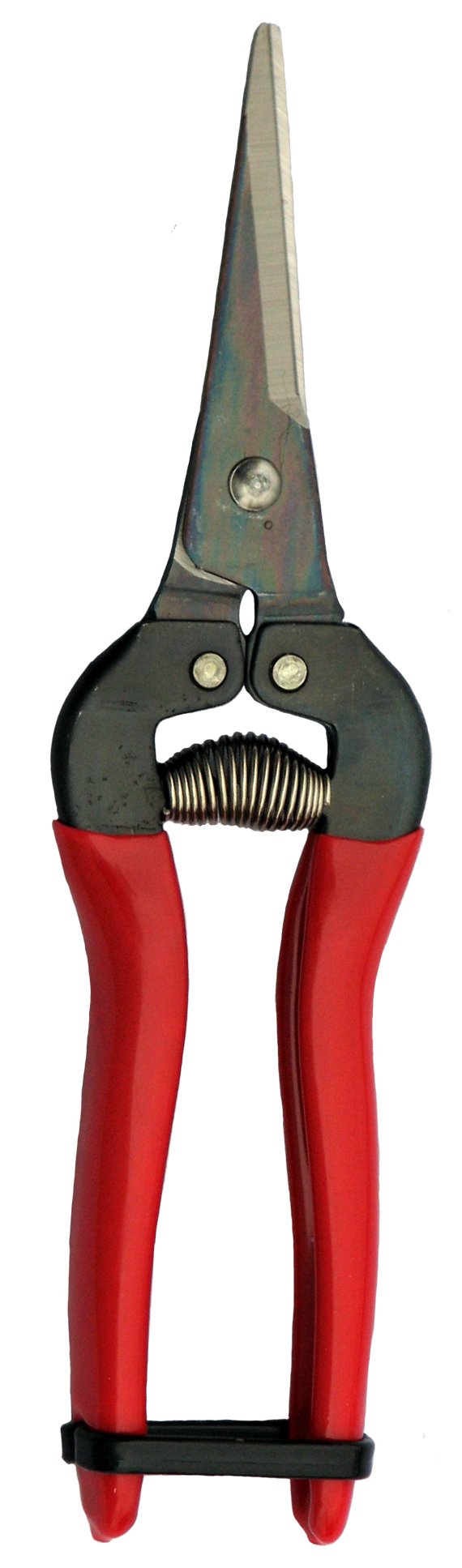 ARS HP-300L Professional Needle Nose Pruning Shears - Sharp Bypass Garden Scissors for Fruit Trees, Flowers & Plants - Ideal for Harvesting, Trimming & Precision Gardening Tasks