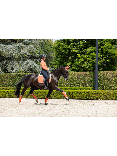 Premium Le Mieux Suede Dressage Pad - Soft & Non-Slip Horse Riding Saddle Pad for Equestrian Training & Show Jumping