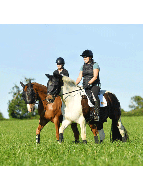 Equilibrium Ride On Fly Mask for Horses - UV Protection & Breathable Fly Control for Riding, Training, and Pasture Use