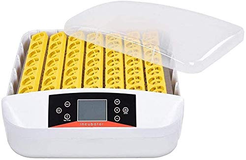 56 Egg Digital Mini Fully Automatic Poultry Egg Incubator - Hatcher for Chicken, Duck, Goose & Bird Eggs with Auto Turning | Perfect for Home Farming, Backyard Poultry & Small Scale Hatching