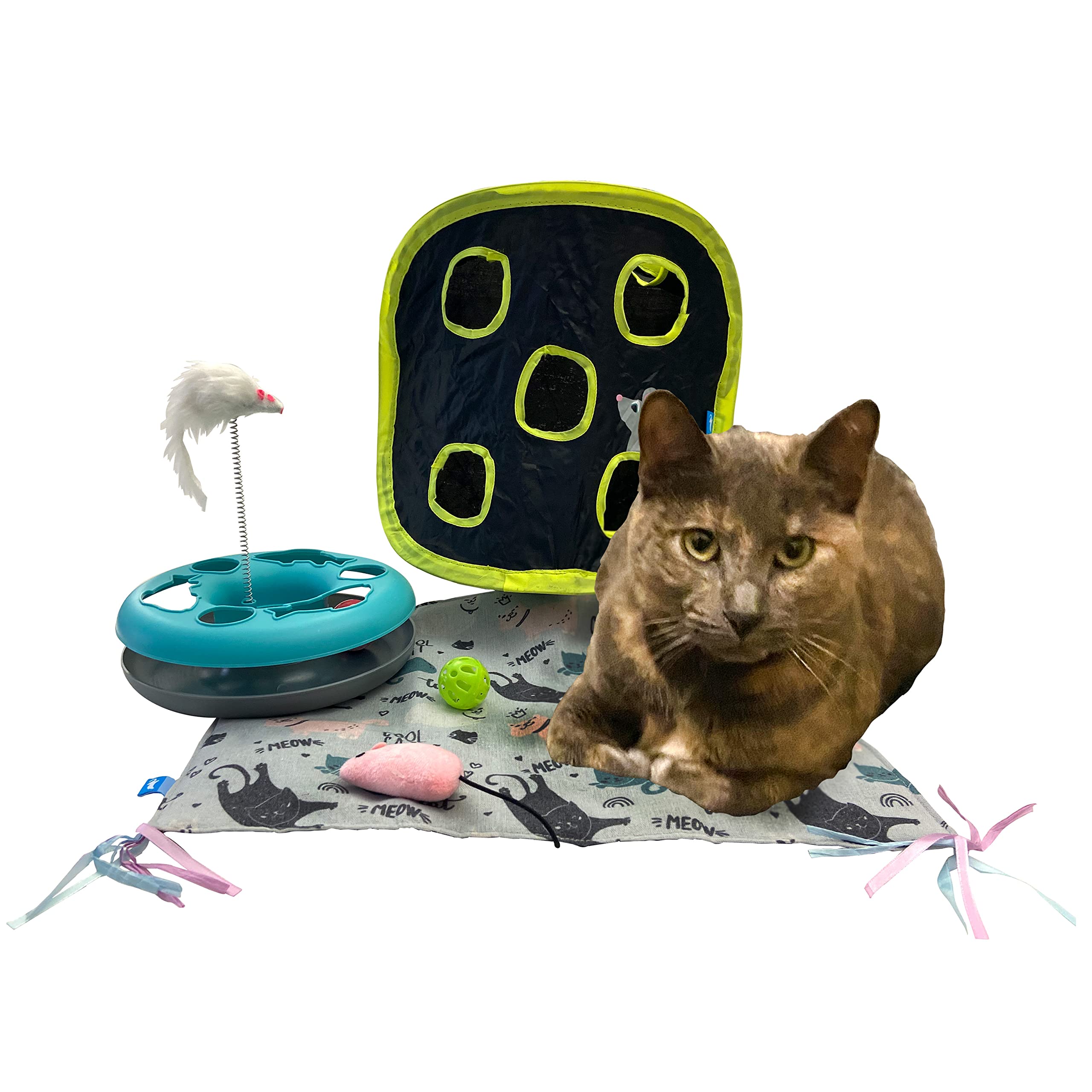 Animal Planet Cat Toys 3-Pack - Teal Cat Teaser Ring, Crinkle Mat & Pop-Up Mouse - Interactive Toys for Indoor Cats to Stimulate Exercise & Play | Perfect for Playtime, Training & Bonding