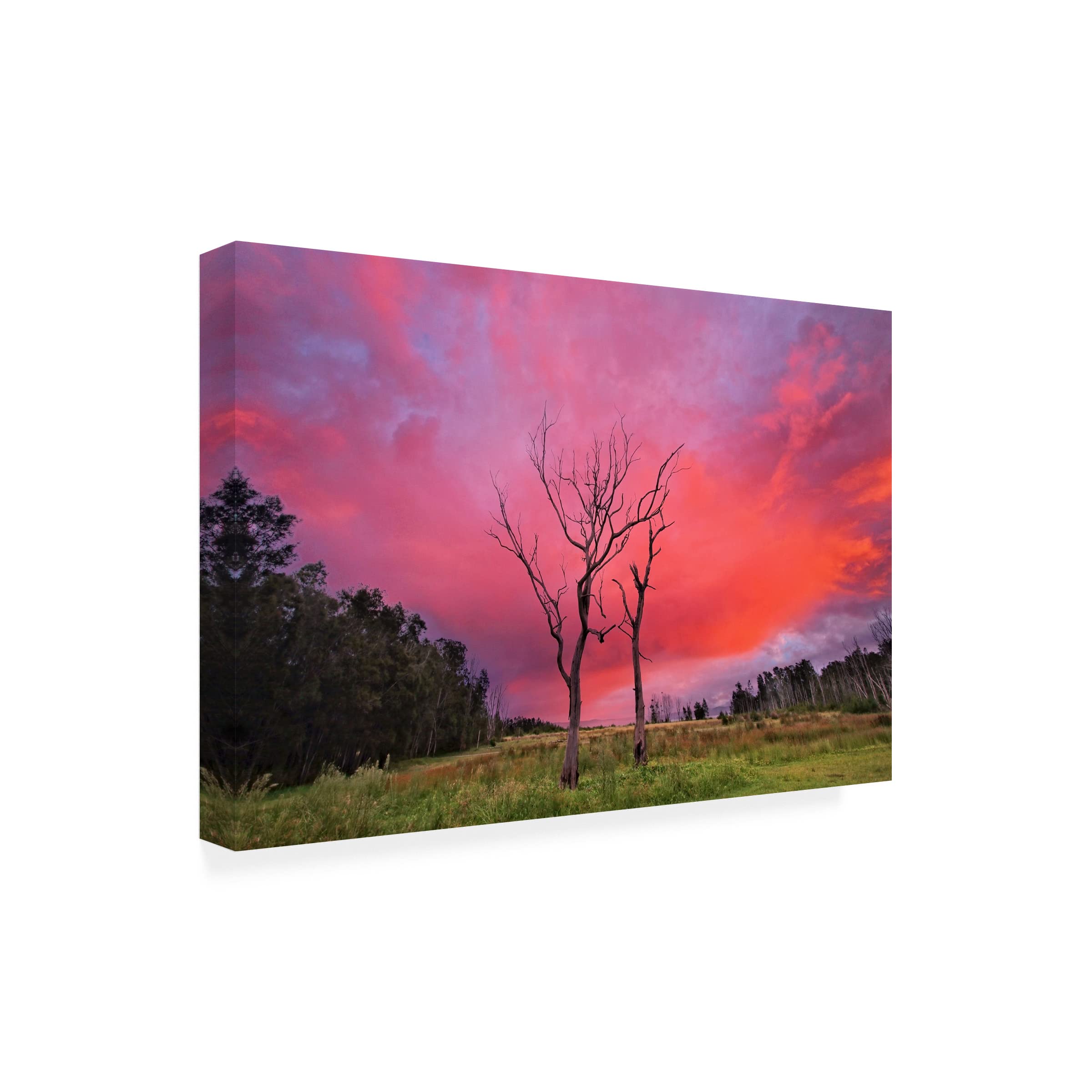 Trademark Fine Art 'Sunset Hug' Canvas Wall Art Print by Beata Czyzowska Young - Romantic Sunset Painting for Living Room, Bedroom & Office Decor
