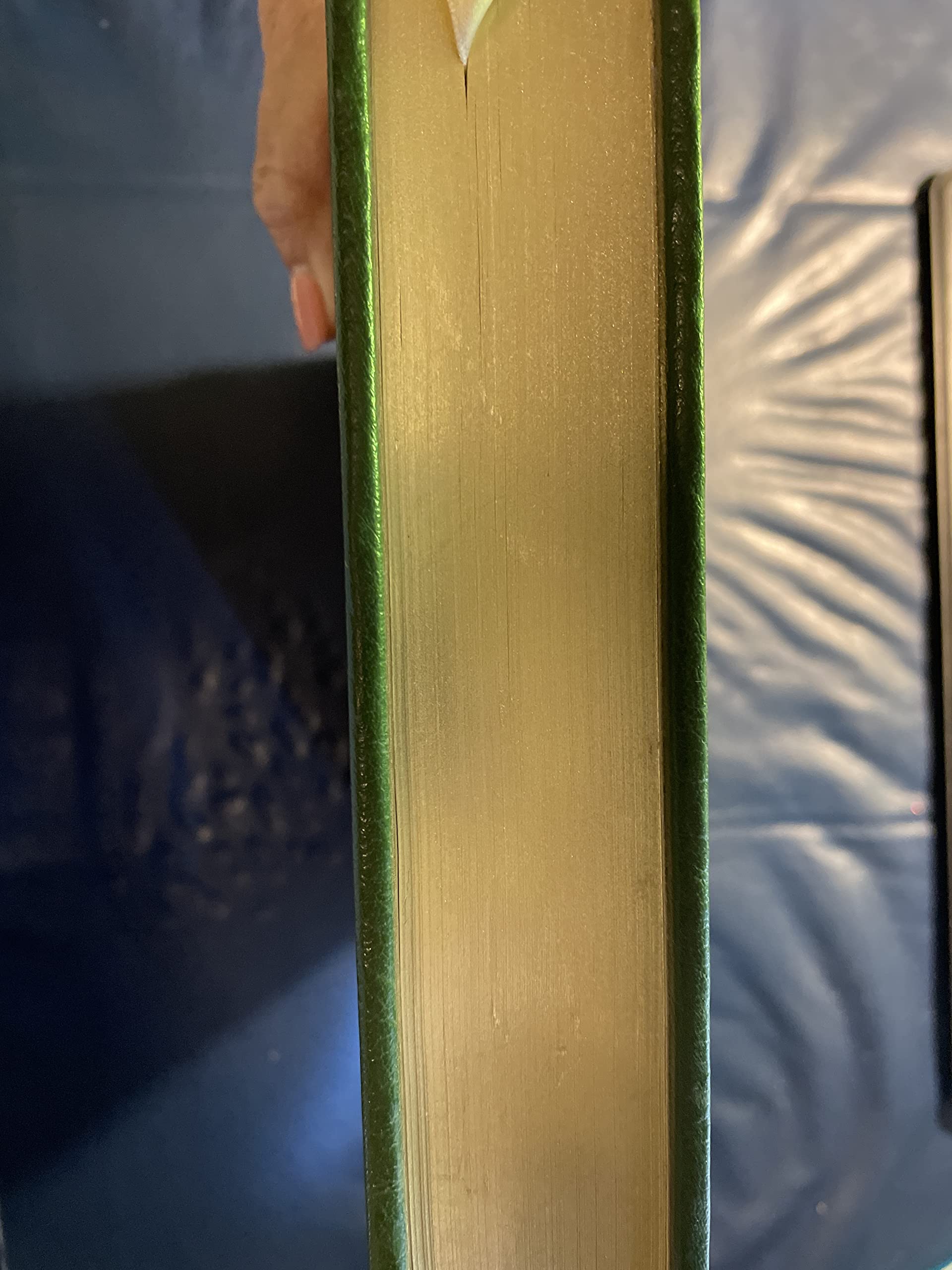 The Jungle Book - Classic Adventure Novel by Rudyard Kipling | Perfect for Kids, Teens & Book Lovers | Great for Bedtime Reading, Gifts & Classroom Learning