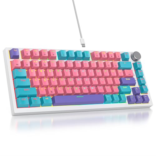 Pink /Red Switch