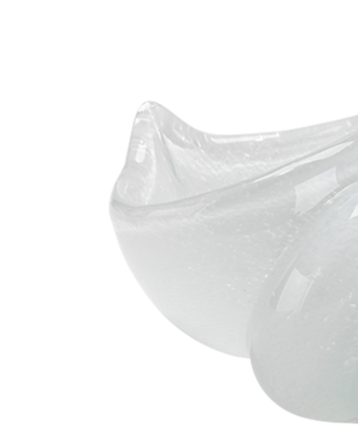 Premium White Ariel Shells (Set of 2) - Elegant Home Decor for Beach House, Bathroom & Coastal Themed Spaces