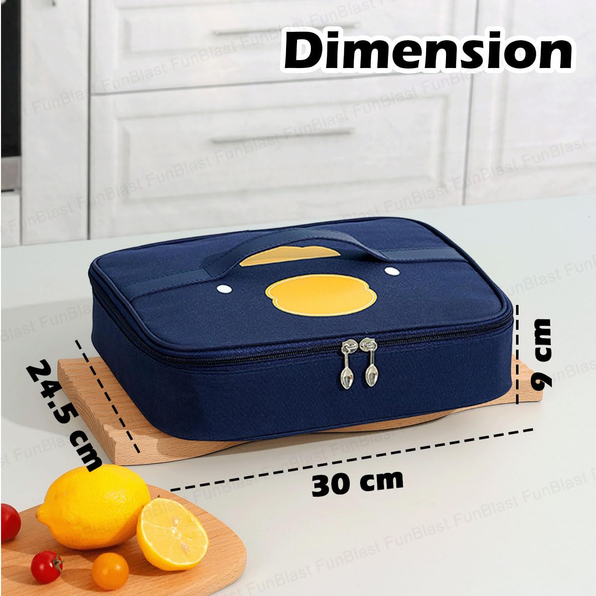 FunBlast Insulated Lunch Bag - Reusable Thermal Lunch Box for Office, School, Picnic & Travel - Leakproof Food Storage Tote for Men & Women - Perfect for Meal Prep, Work Commutes & Outdoor Adventures (Blue)
