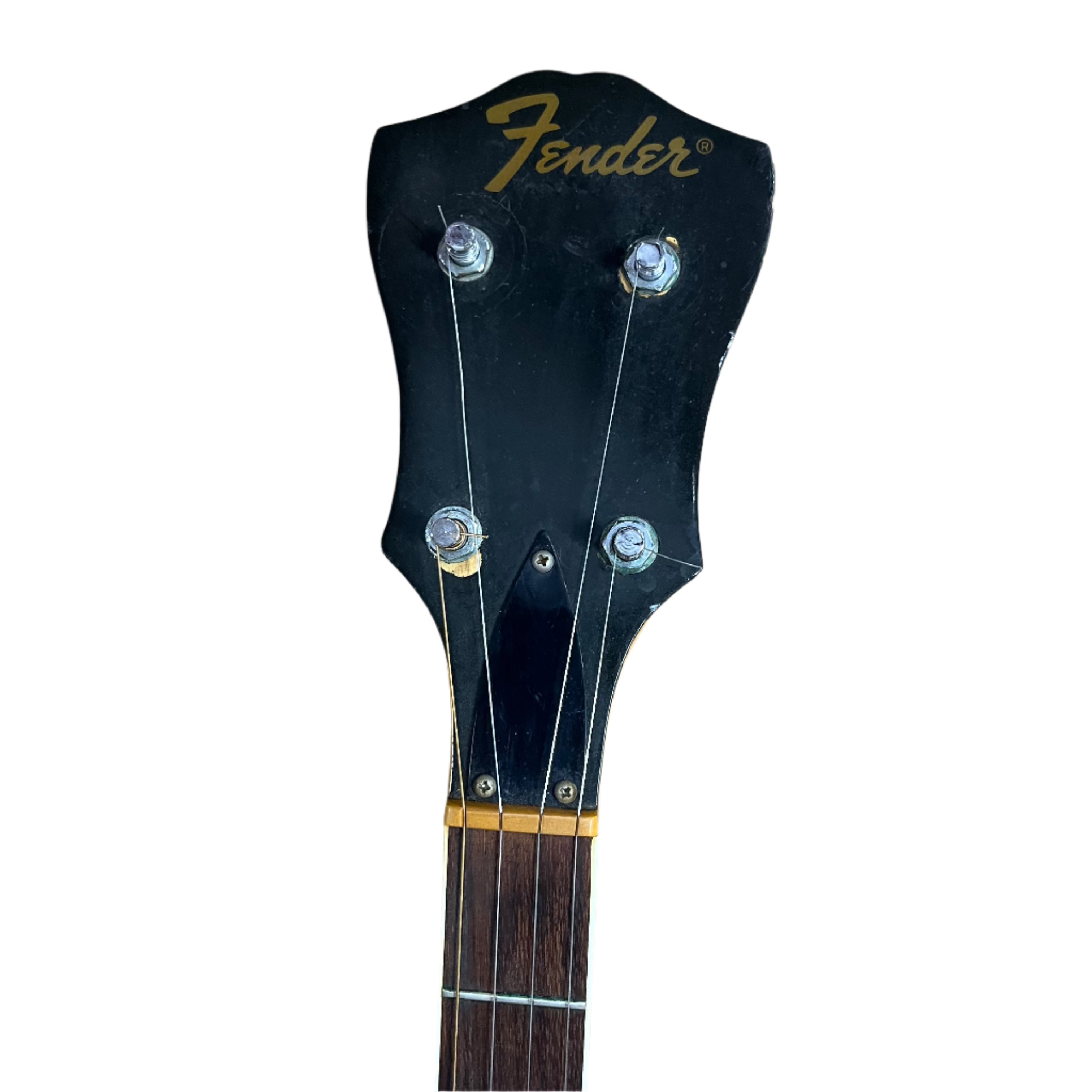 Fender Allegro 5-String Banjo with Hard Case - Professional Quality for Bluegrass, Folk & Country Music Performances