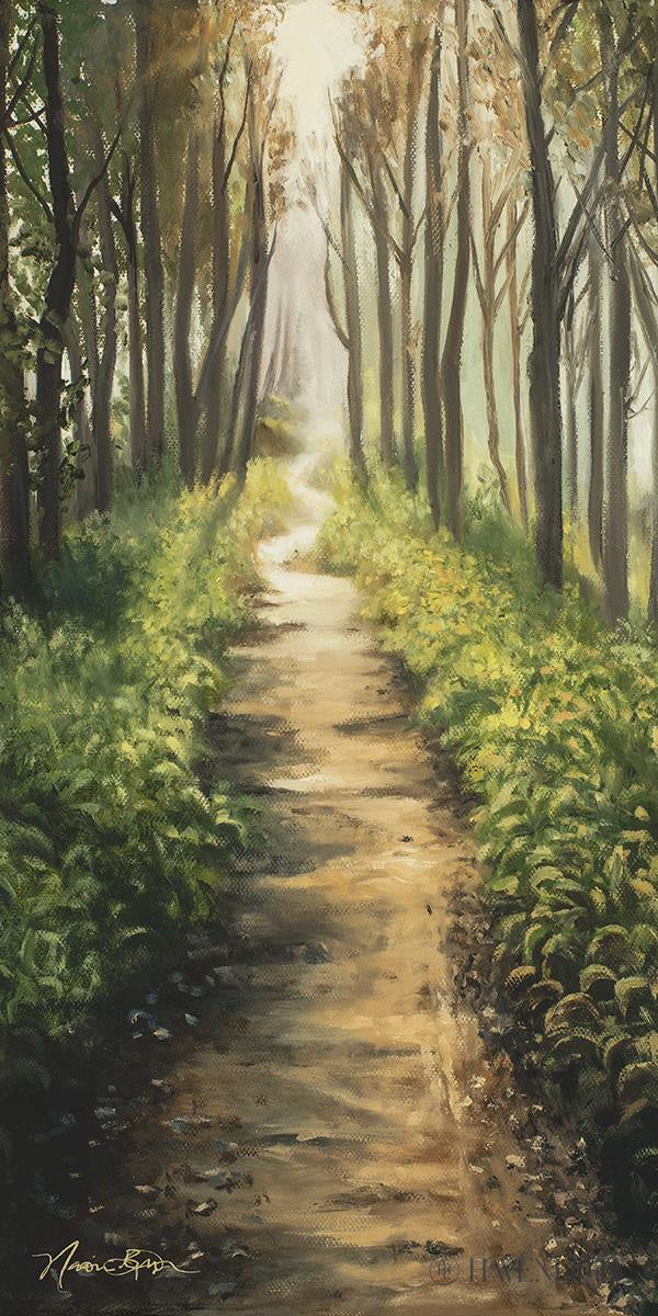 Forest Walkway - Beautiful Wooden Pathway for Gardens, Parks & Trails | Perfect for Outdoor Decor & Nature Walks