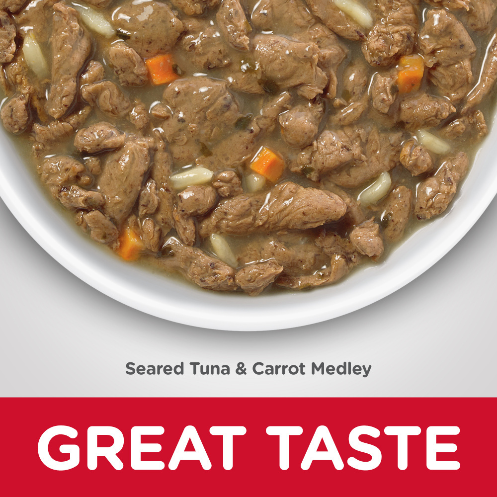 Hill's Science Diet Healthy Cuisine Adult Seared Tuna & Carrot Medley Canned Cat Food - High Protein Wet Cat Food for Adult Cats, Grain-Free & Balanced Nutrition - Perfect for Mealtime, Weight Management & Picky Eaters