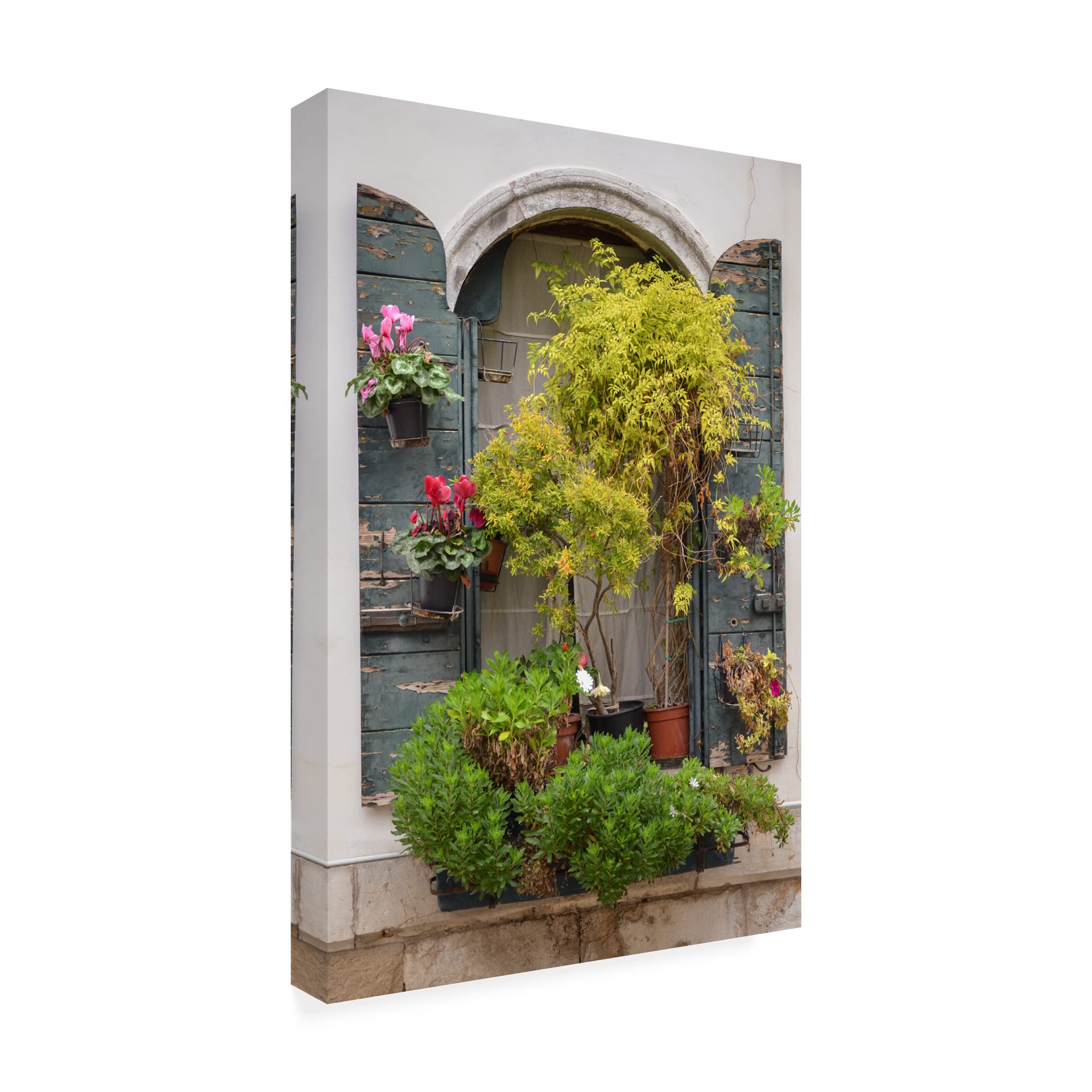 Laura DeNardo 'Italian Window Flowers IV' Canvas Wall Art Print - Floral Home Decor for Living Room, Bedroom & Office | Trademark Fine Art Collection