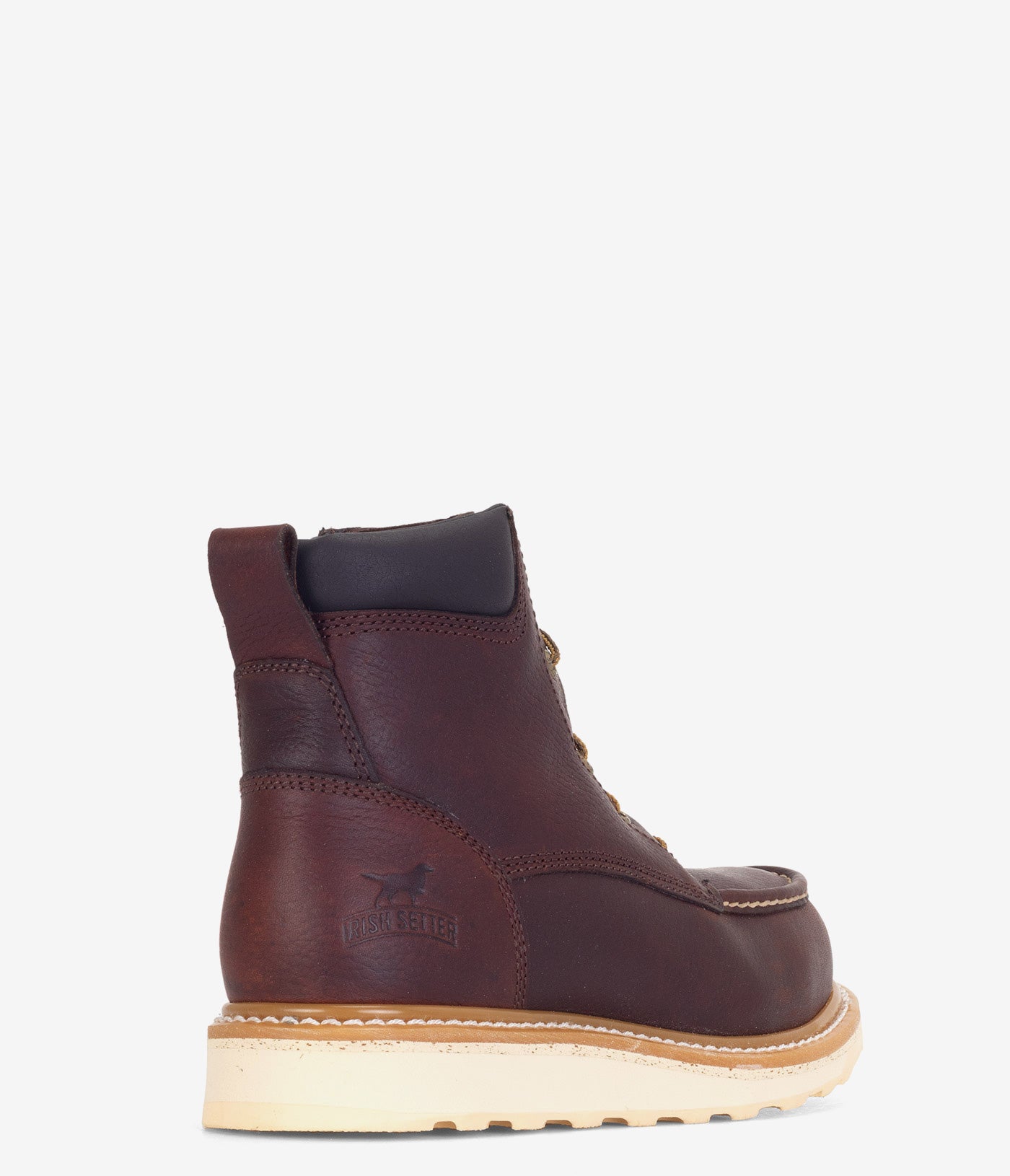 Irish Setter Ashby 6