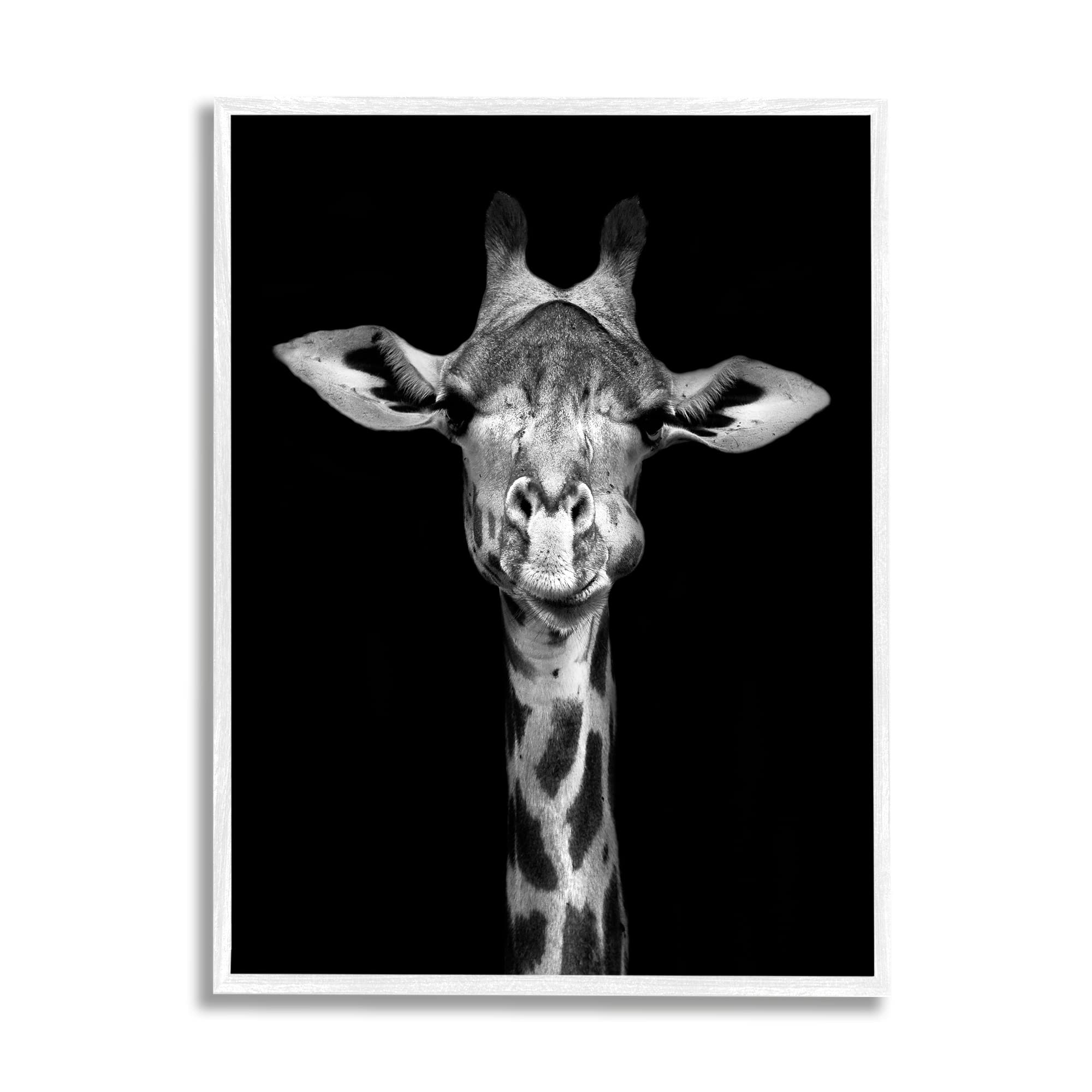 Stupell Industries Black and White Zebra Stripes Detailed Photography Portrait Wall Art - Modern Home Decor for Living Room, Bedroom, or Office