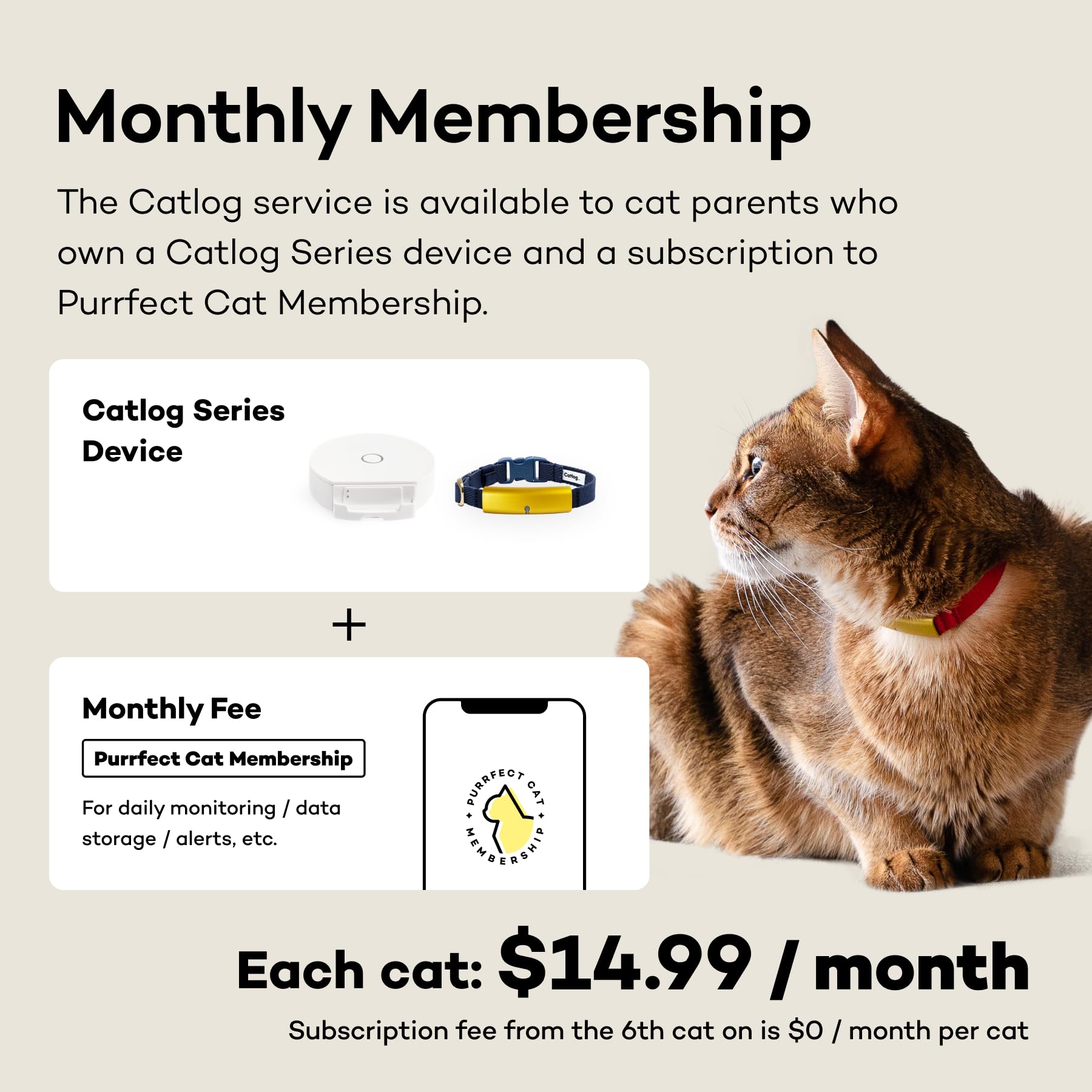 Smart Cat Collar with Health Tracker & Breakaway Safety Buckle - Real-Time Activity Monitoring & Wellness Alerts for Indoor Cats (Sakura Pink, Small) | Perfect for Daily Pet Health Tracking & Safety