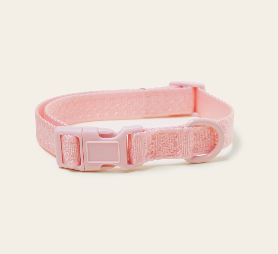 Peachy Dogs Daily Collar - Soft & Comfortable Pet Collar for Small Medium Dogs - Perfect for Walks, Training & Everyday Use