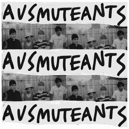 Amusements Vinyl LP - Classic Music Record for Collectors & Audiophiles - Perfect for Home Listening & Gifts