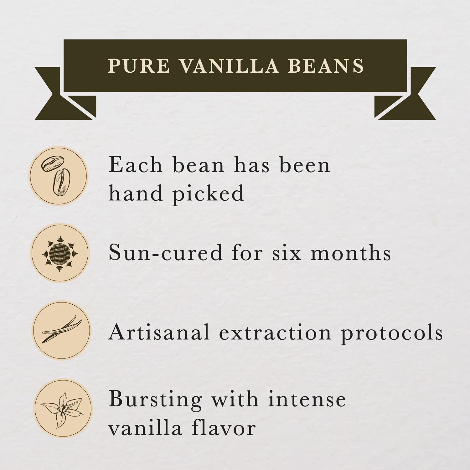 16 oz (1 lb) Organic Madagascar Whole Vanilla Beans - Grade A Vanilla Pods for Baking, Extract Making & Cooking | Premium Vanilla Beans for Desserts, Ice Cream & Cocktails