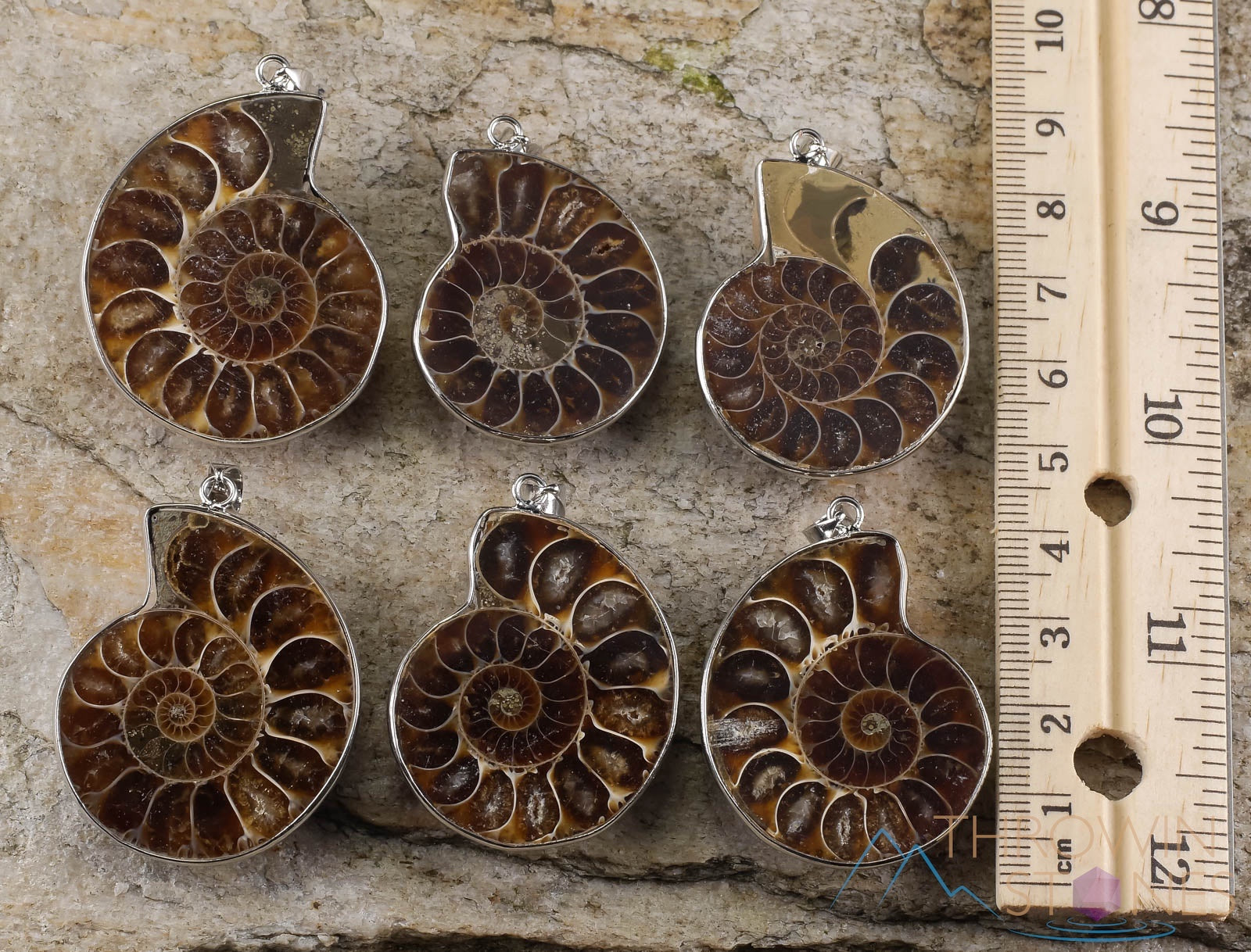 AMMONITE Fossil Pendant - Natural Ammolite & Opalized Ammonite Jewelry with Iridescent Colors | Unique Gift for Women, Men | Perfect for Birthdays, Anniversaries & Spiritual Healing (E0282)