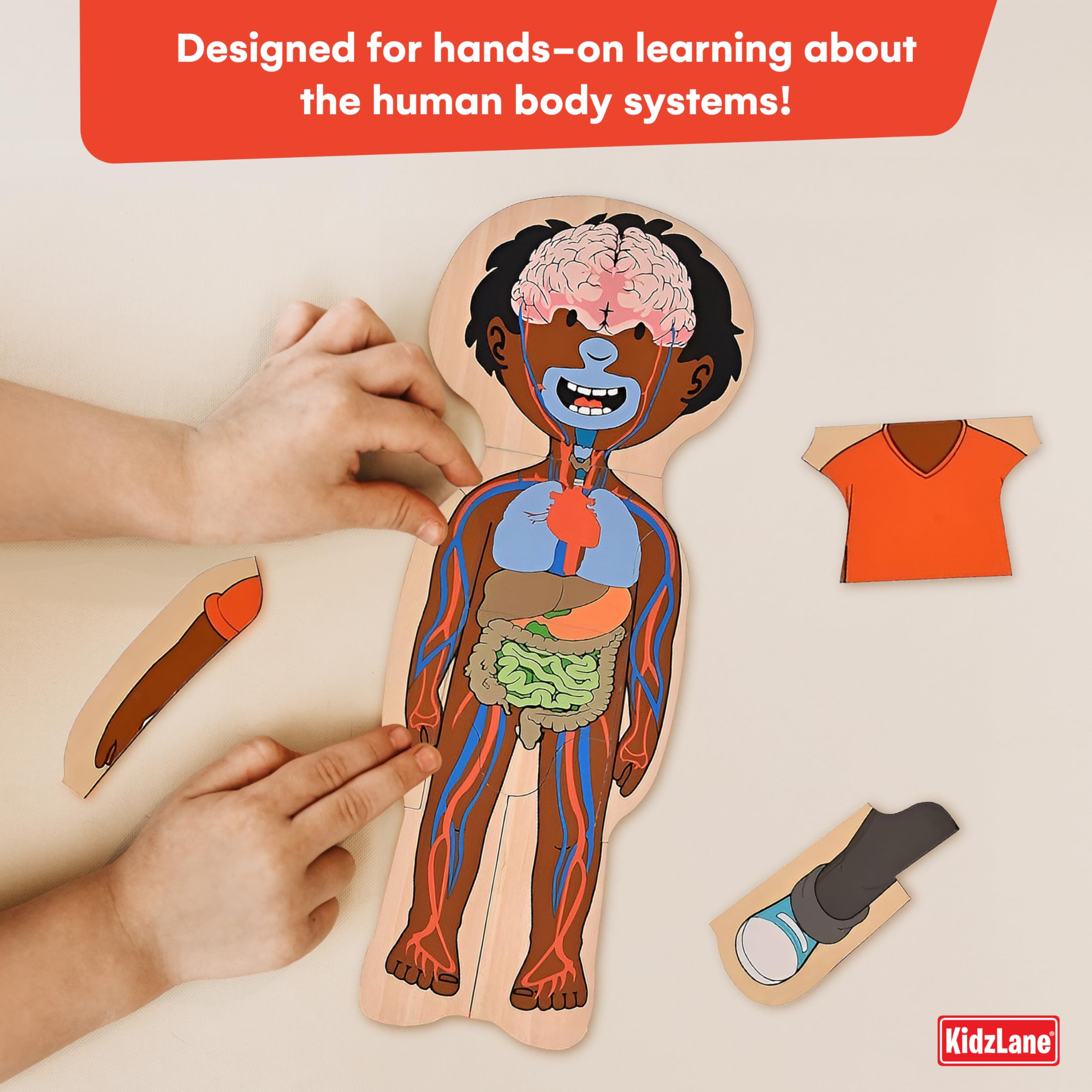 Kidzlane African American Boy Wooden Anatomy Puzzle for Toddlers & Kids - 29 Piece Educational Body Puzzle Set - Skeleton Learning Toy for Ages 3+ | STEM Learning, Preschool Classroom & Homeschool Activity