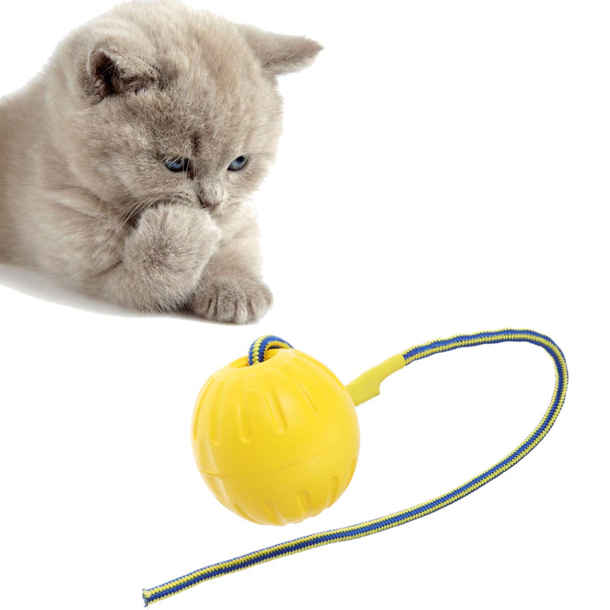 TEHAUX Interactive Dog Puzzle Toy with Rope - Educational Chew Ball for Teeth Cleaning & Mental Stimulation - Hollow EVA Ball for Fetch, Tug-of-War & Training (Great for Small/Medium Dogs)