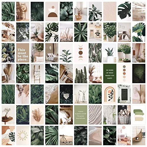 Green+Beige