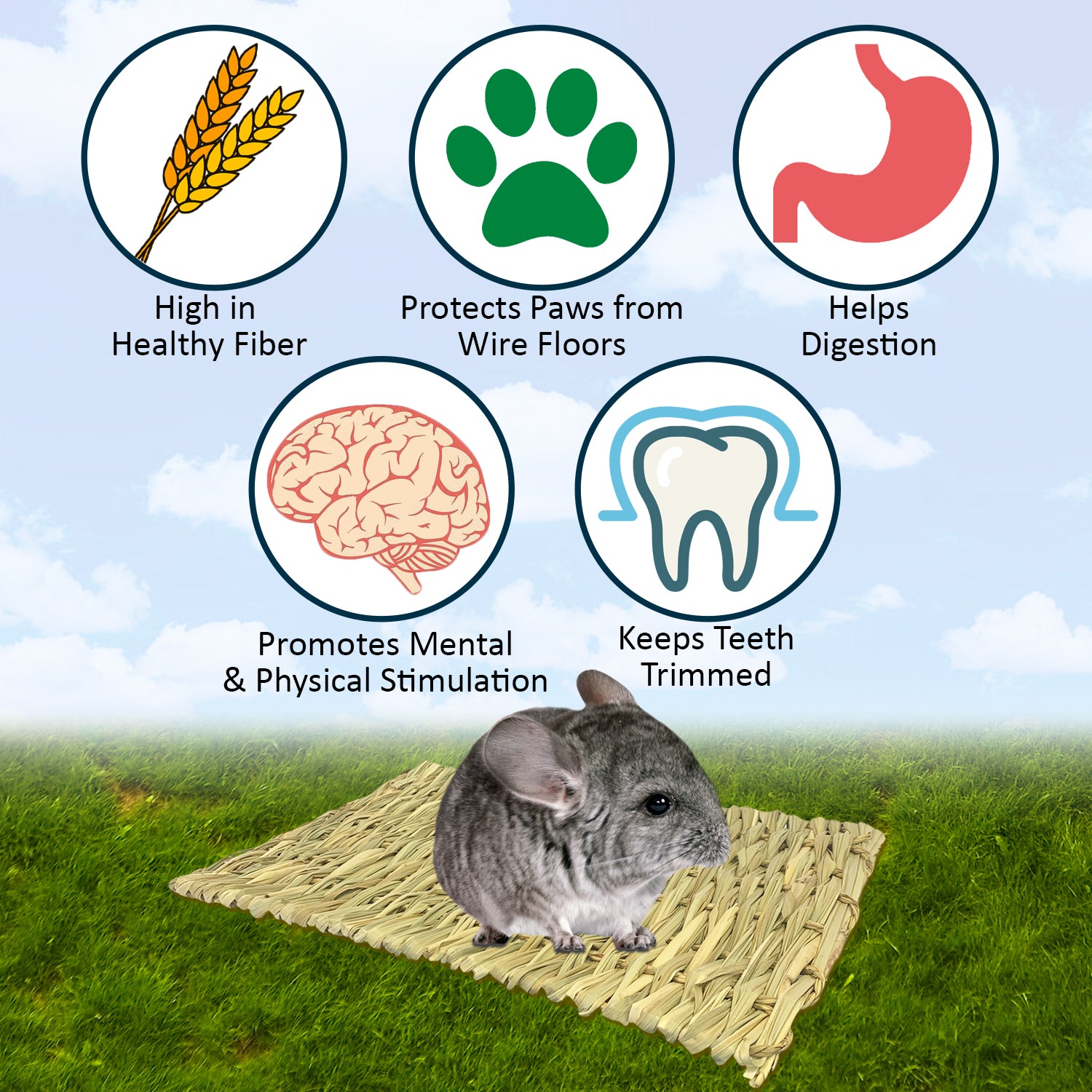 Natural Woven Grass Mat - Eco-Friendly Floor & Picnic Mat for Indoor/Outdoor Use - Perfect for Beach, Patio, Camping & Home Decor