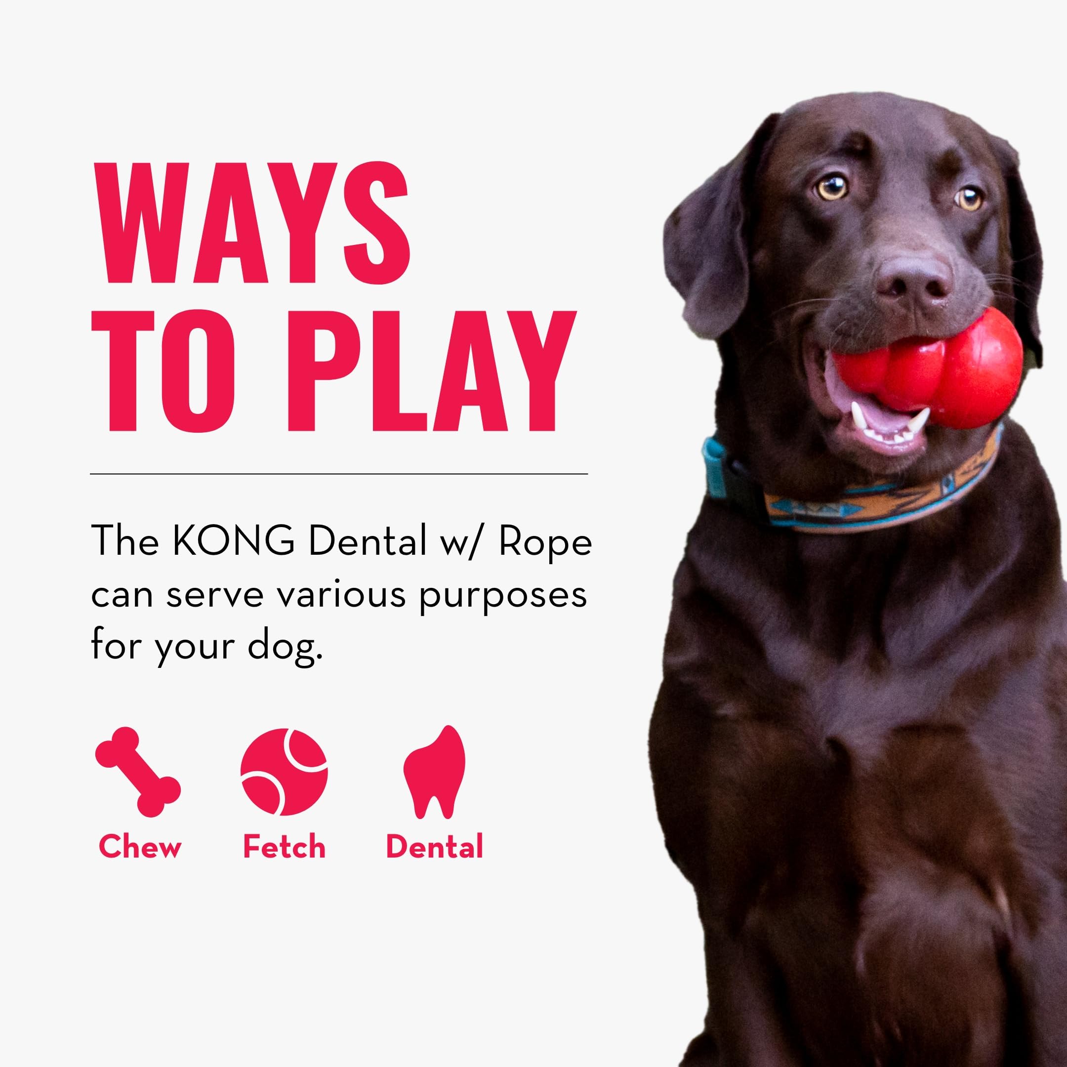 Durable KONG Dental Chew Toy with Rope for Medium Dogs - Natural Rubber Teething & Gum Cleaning Toy - Stuffable Interactive Dog Chew for Dental Care - Satisfies Chewing Instincts & Promotes Oral Health - Perfect for Playtime, Training Rewards and Anxiety Relief